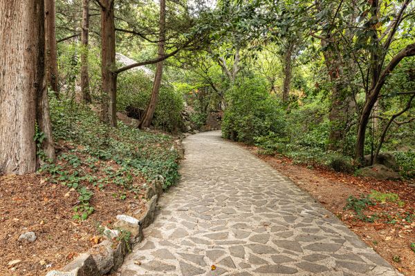Stone Walkway Repair in Merrillville