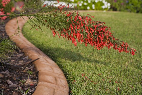 Brick Edging in Merrillville
